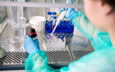 Salary Ranking of the Largest North Carolina Universities