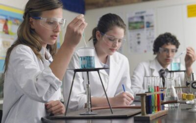 Increasing the Effectiveness of Minority Serving Institutions (MSIs) and STEM Fields